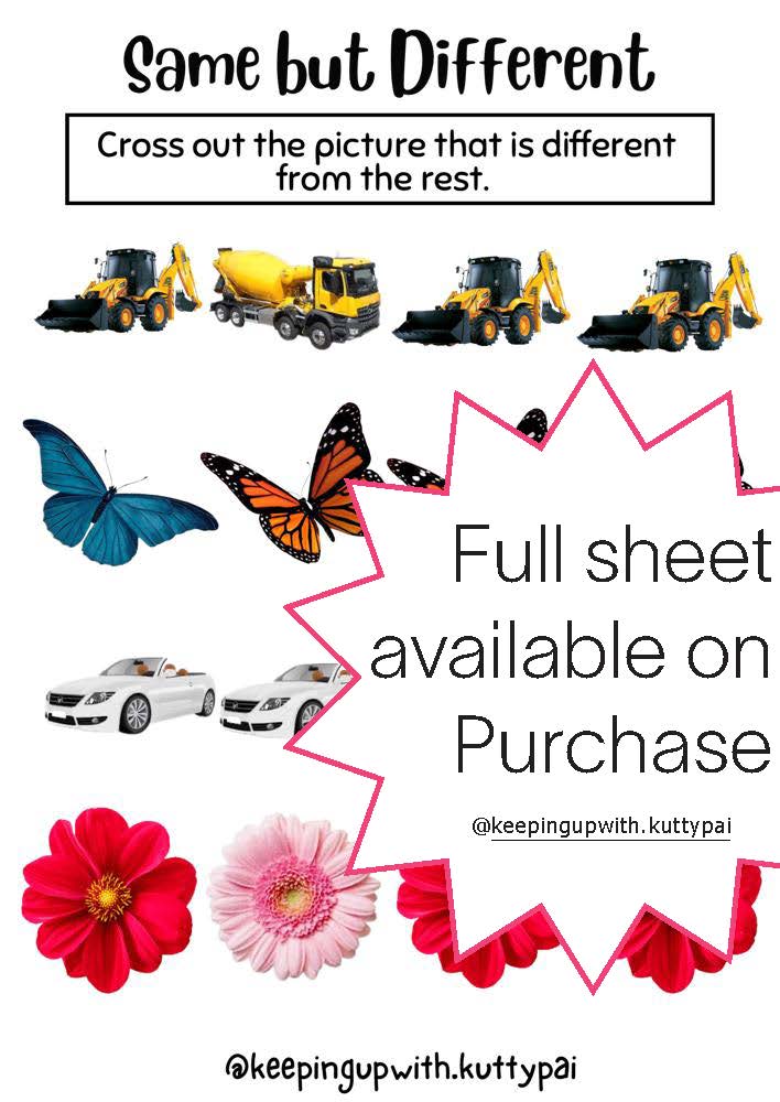 Matching and More Worksheet